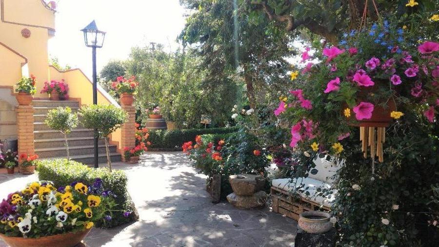 Bed And Breakfast Val Di Lupa Кастелина Маритима Екстериор снимка